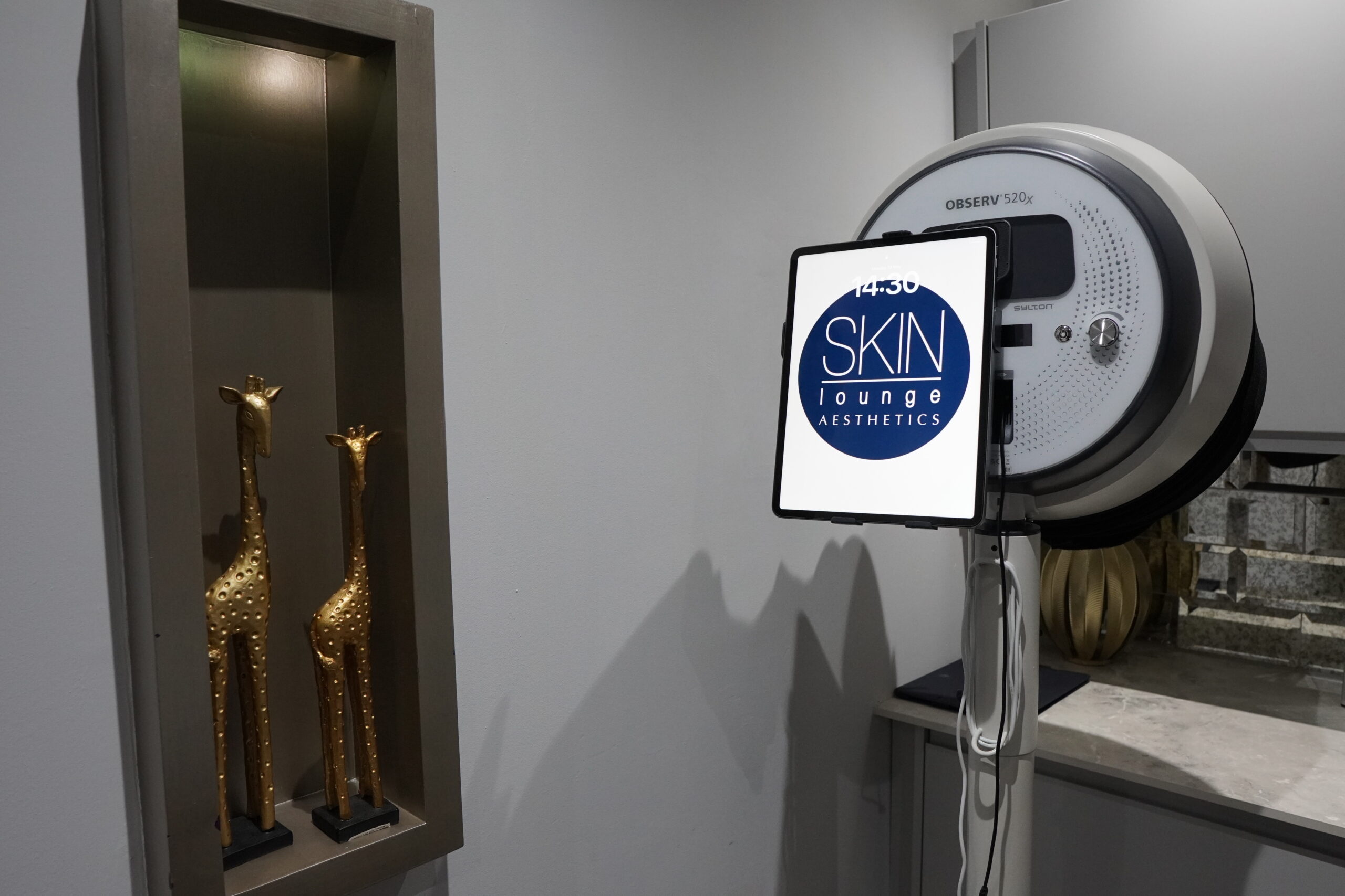 OBSERV 520 Skin Scanner used in a skin consultation